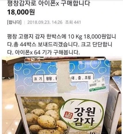 위대한 강원도에는 모든 것이 있습니다._5.webp