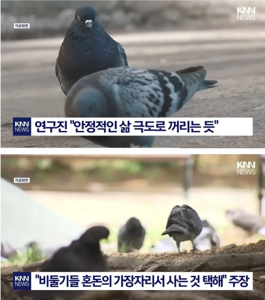 의외로 가까운데 사는 니알라토텝의 사도_1.webp