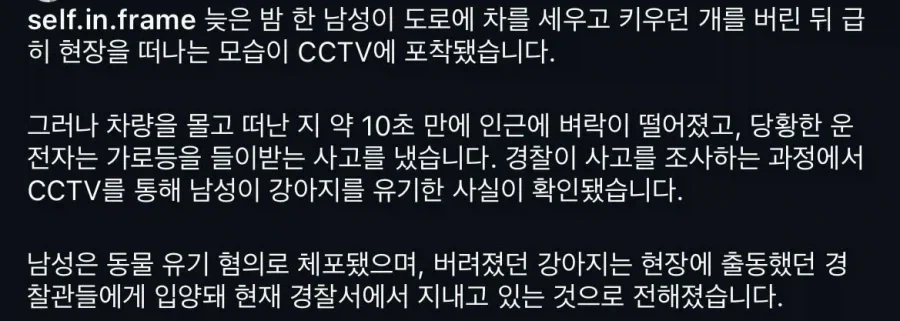 강아지 버리고 천벌받은 남자_2.webp