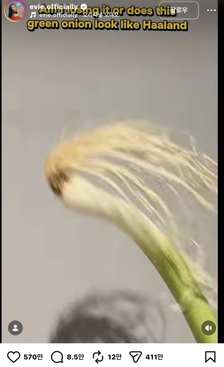 ?? : 홀란드 사람같이 안생김_2.webp