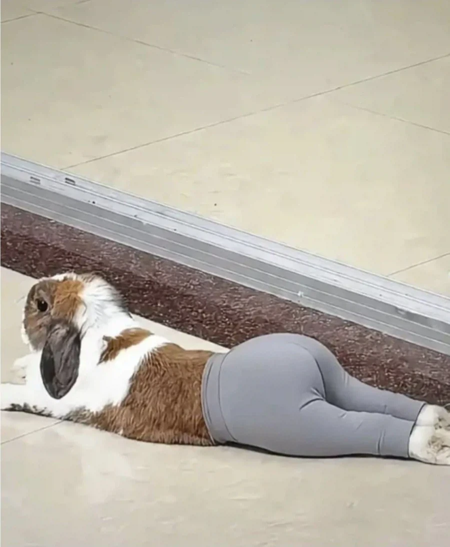 레깅스가 진짜 사기템인 이유.jpg_2.webp