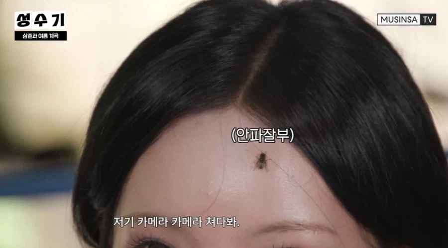 나라의 경제를 얘기하는데 파리가 앉았습니다 리마스터_4.webp