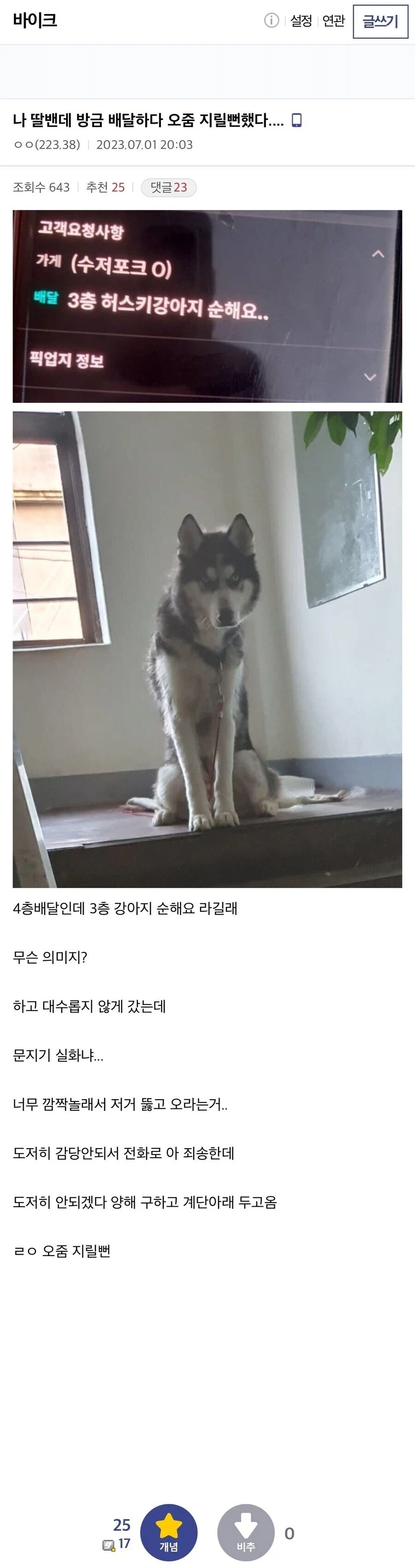3층 순한맛 허스키 강아지.jpg_1.webp