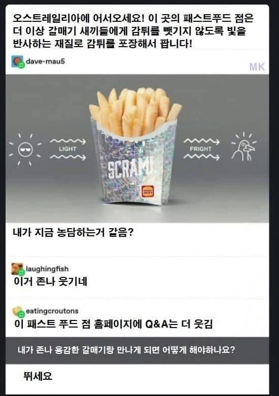 감자튀김 뺏어가는 갈매기때문에 취한 특단의 조치_1.webp