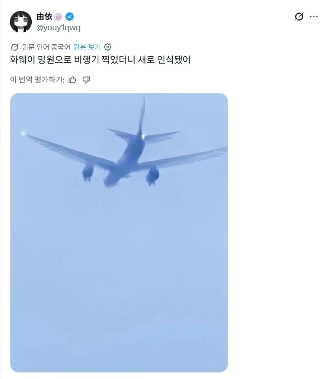 화웨이 폰으로 비행기를 찍었더니 새가 되어버렸다.jpg_1.webp