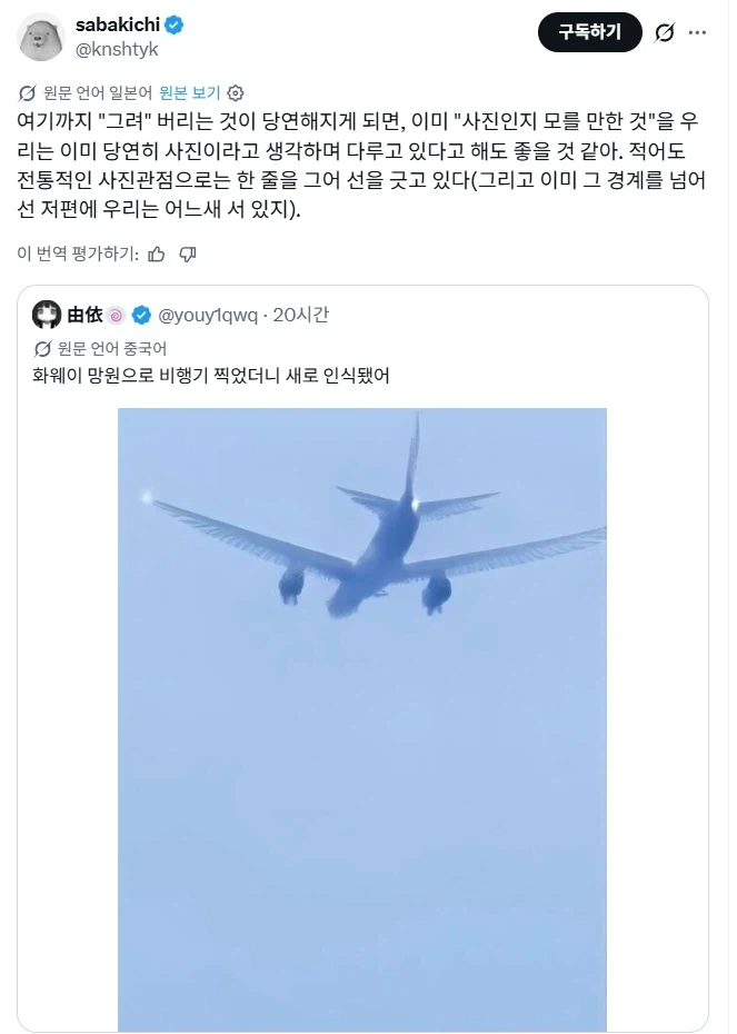 화웨이 폰으로 비행기를 찍었더니 새가 되어버렸다.jpg_2.webp