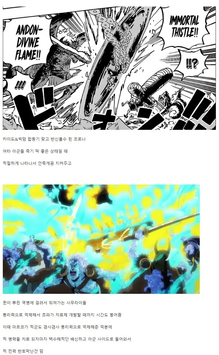 원피스) 오니가시마 결전에서 지휘력 오졌던 마르코_4.jpg