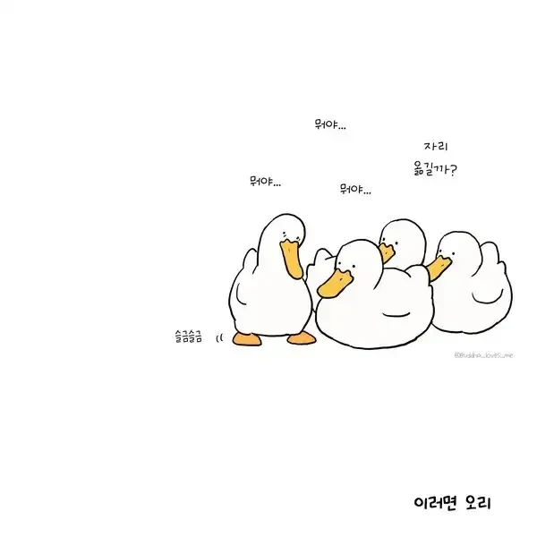 오리와 거위의 차이 만화_1.webp