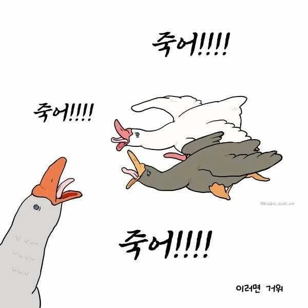 오리와 거위의 차이 만화_2.jpg