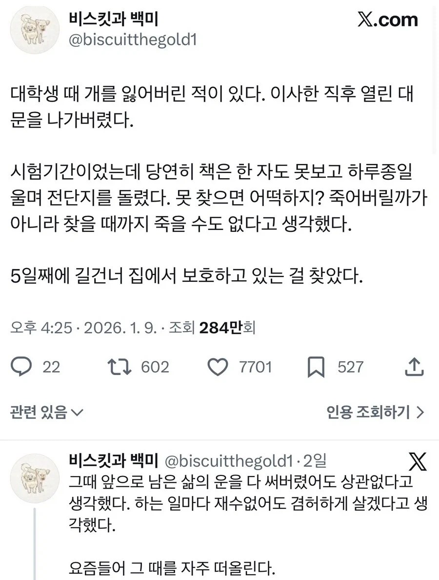 대학생 때 개를 잃어버렸다.jpg_1.webp