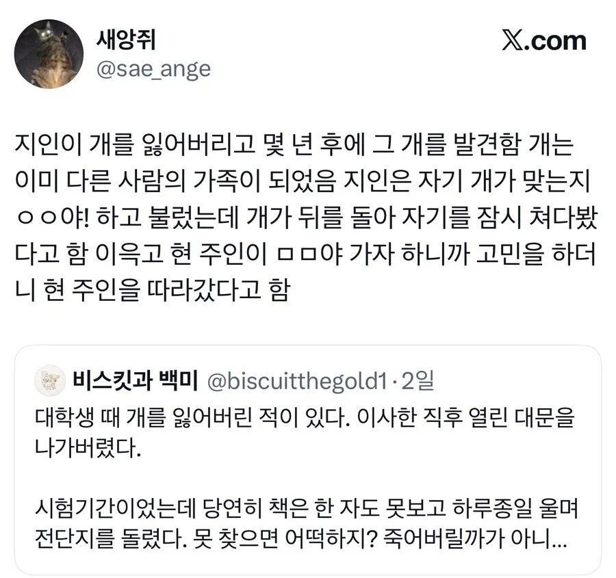 대학생 때 개를 잃어버렸다.jpg_2.webp