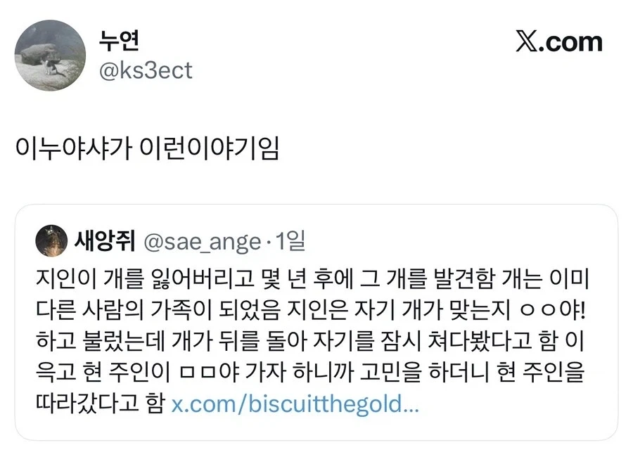 대학생 때 개를 잃어버렸다.jpg_3.webp