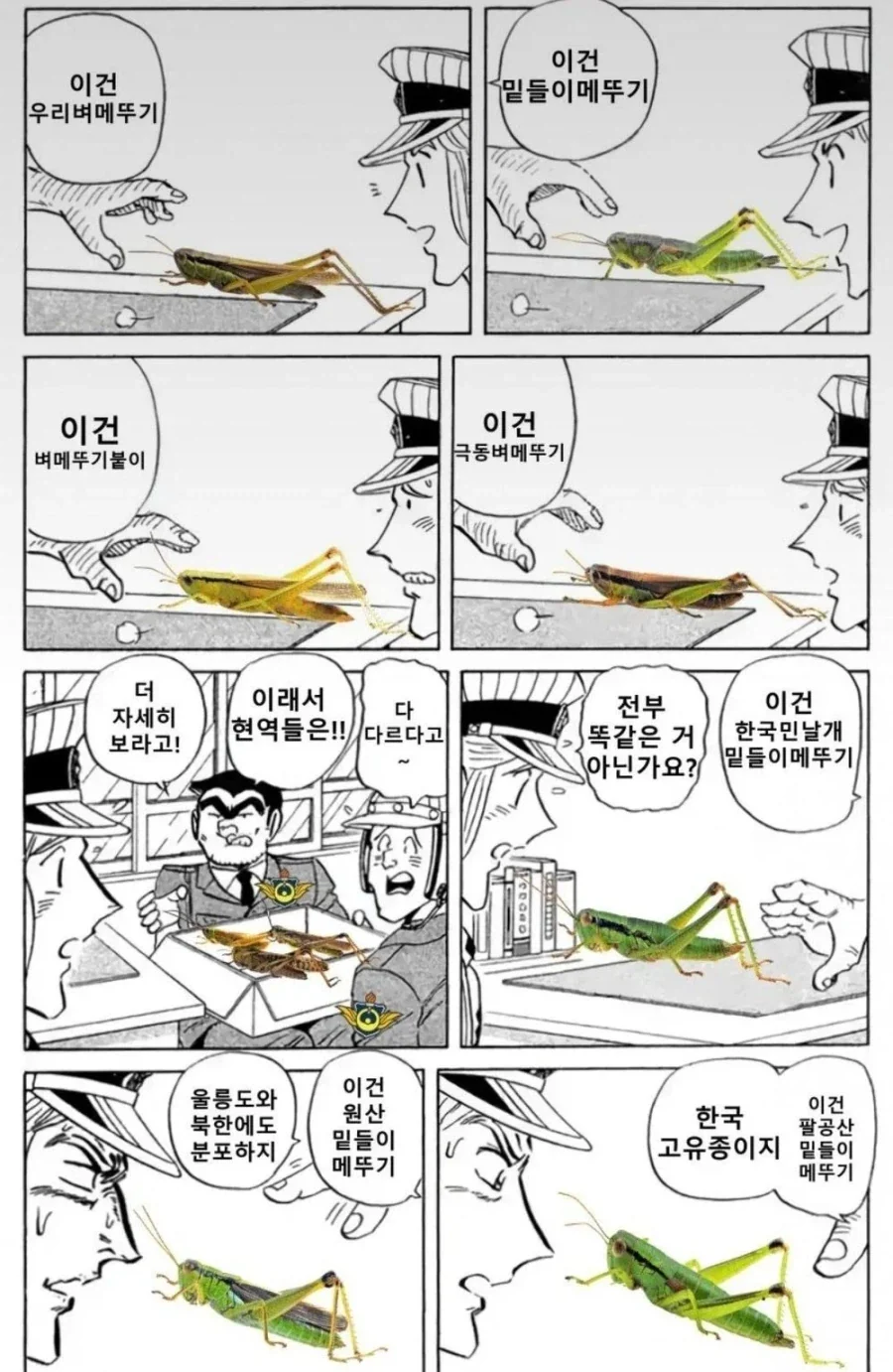 나는 메뚜기 종류를 100가지 이상 알고 있다_1.webp