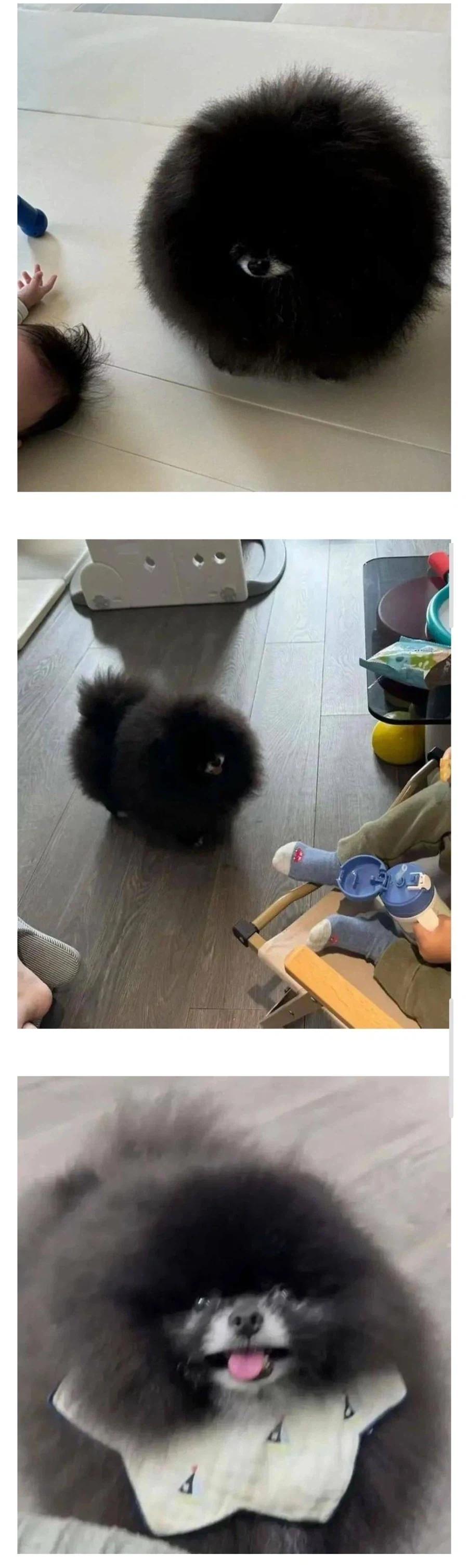 어디서 본거 같은 외눈박이 괴물_1.webp