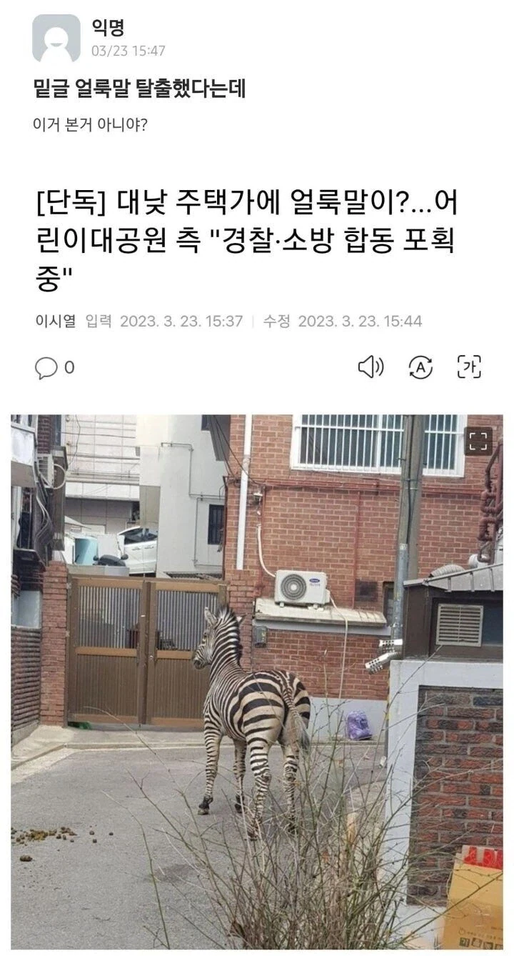 순간 조현병인가 의심받은 대학생_4.webp