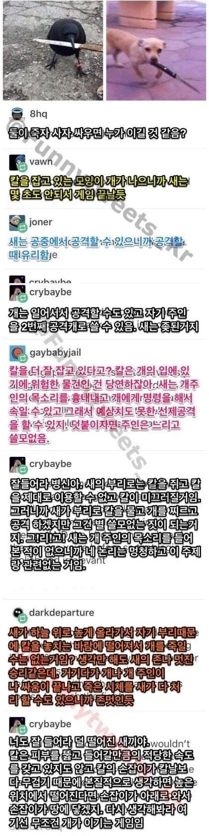 그래서 이거 누가 이길것 같슴?_1.webp