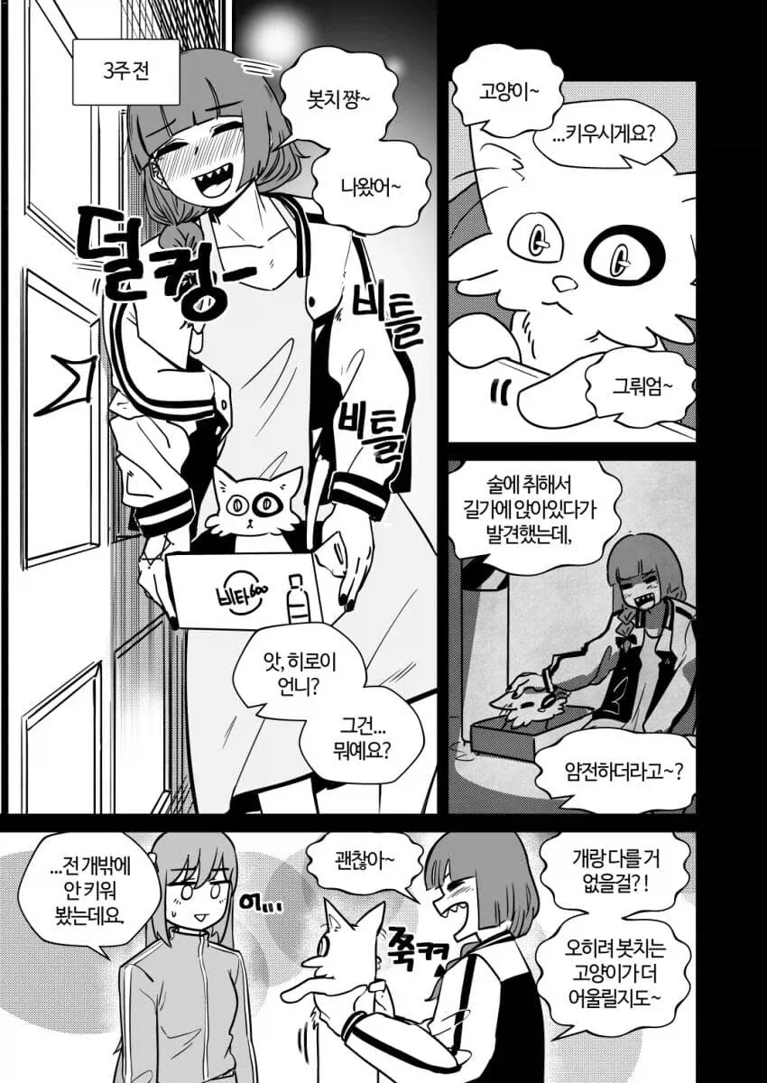 수상한 고양이를 주워온 키쿠리_1.webp