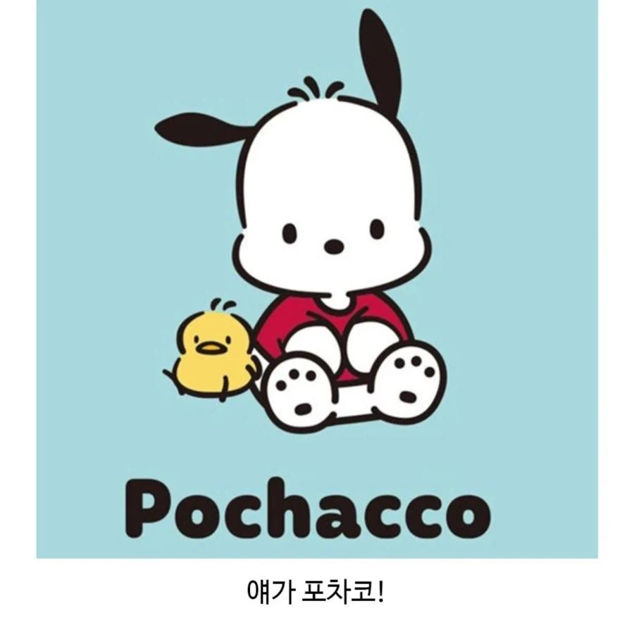 산리오 캐릭터 포차코 현실판 같다는 강아지.jpg_1.webp