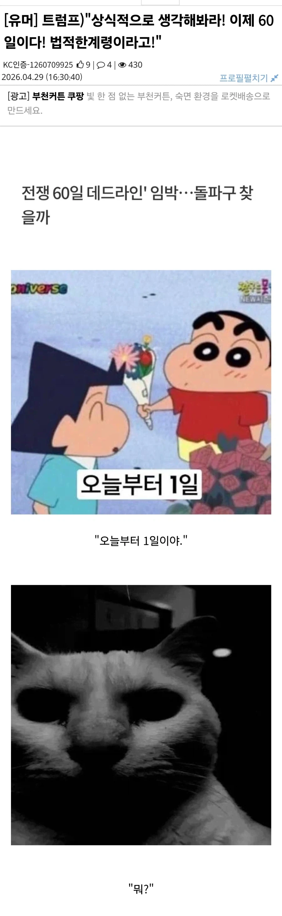트럼프)