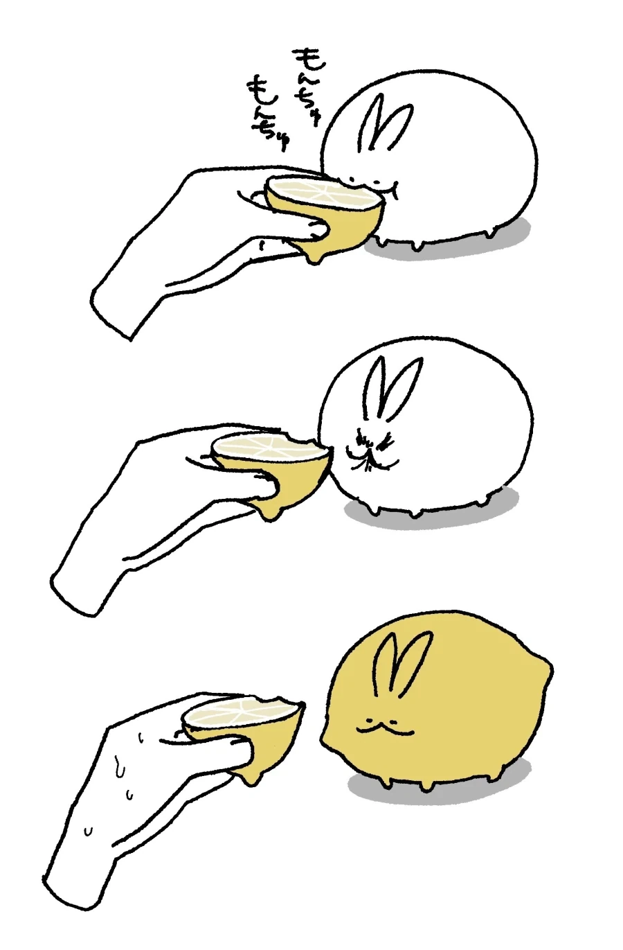 반응 보겠다고 반려동물에게 레몬 먹이는 장난하면 안 되는 이유_1.webp