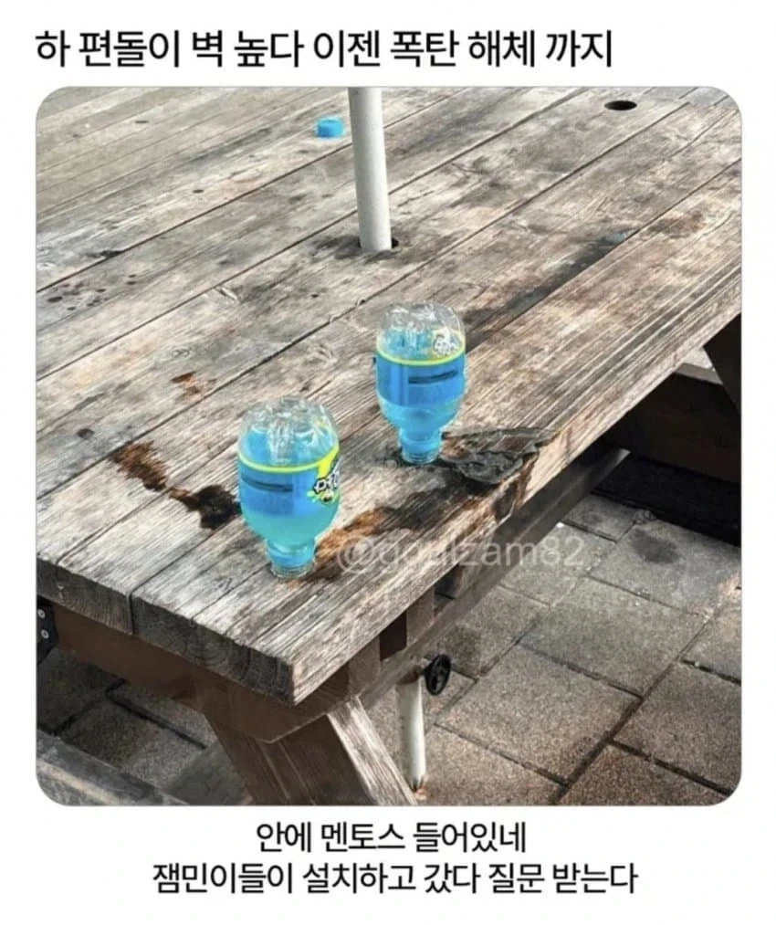 편돌이의 눈물.jpg_1.webp