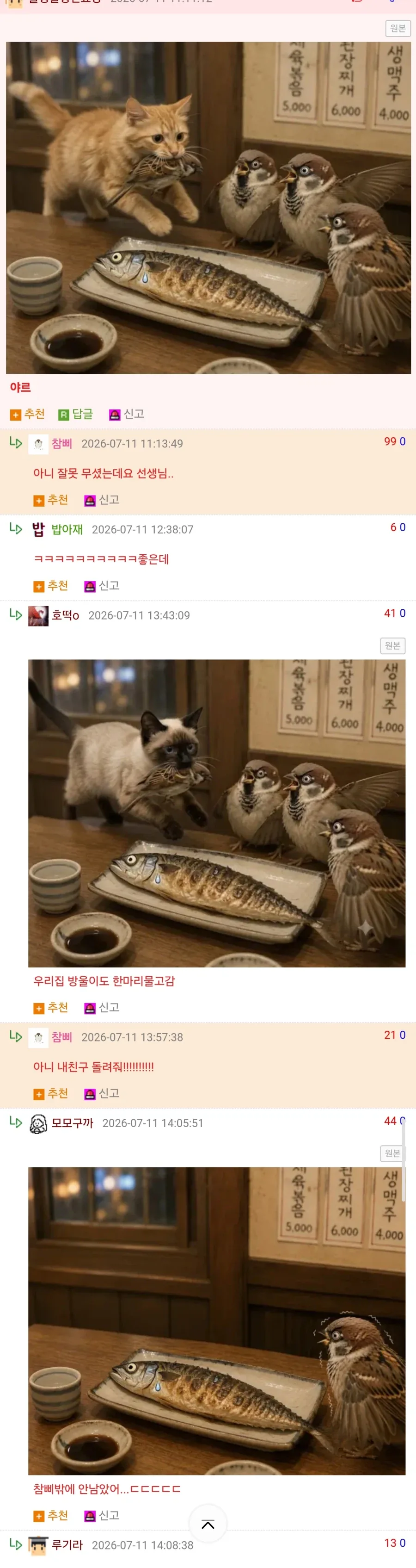 생선집가서 생선을 안먹은이유_2.webp