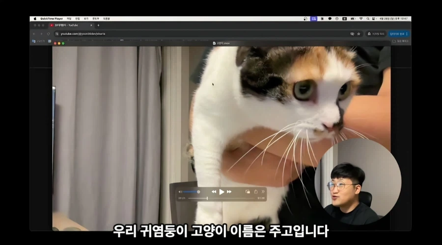 유튜브에서 고양이 얼굴이 썸네일이면 조회수가 더 나올까 실험한 영상_8.webp