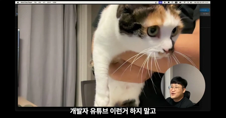 유튜브에서 고양이 얼굴이 썸네일이면 조회수가 더 나올까 실험한 영상_16.webp