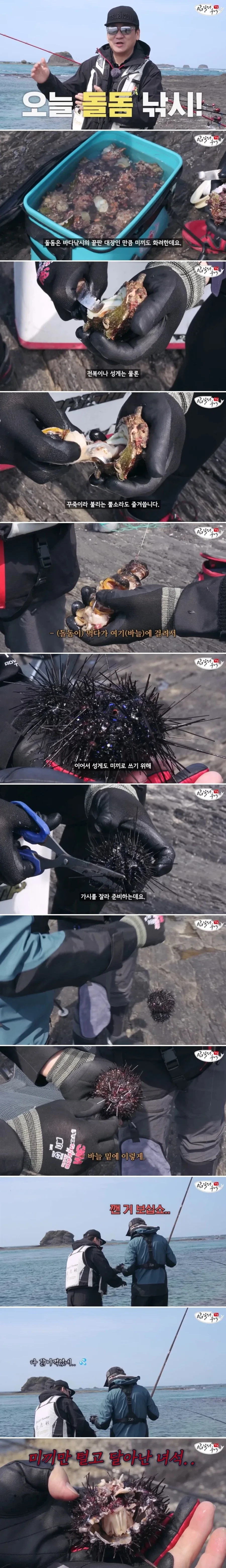돌돔이 비싼 이유._1.webp