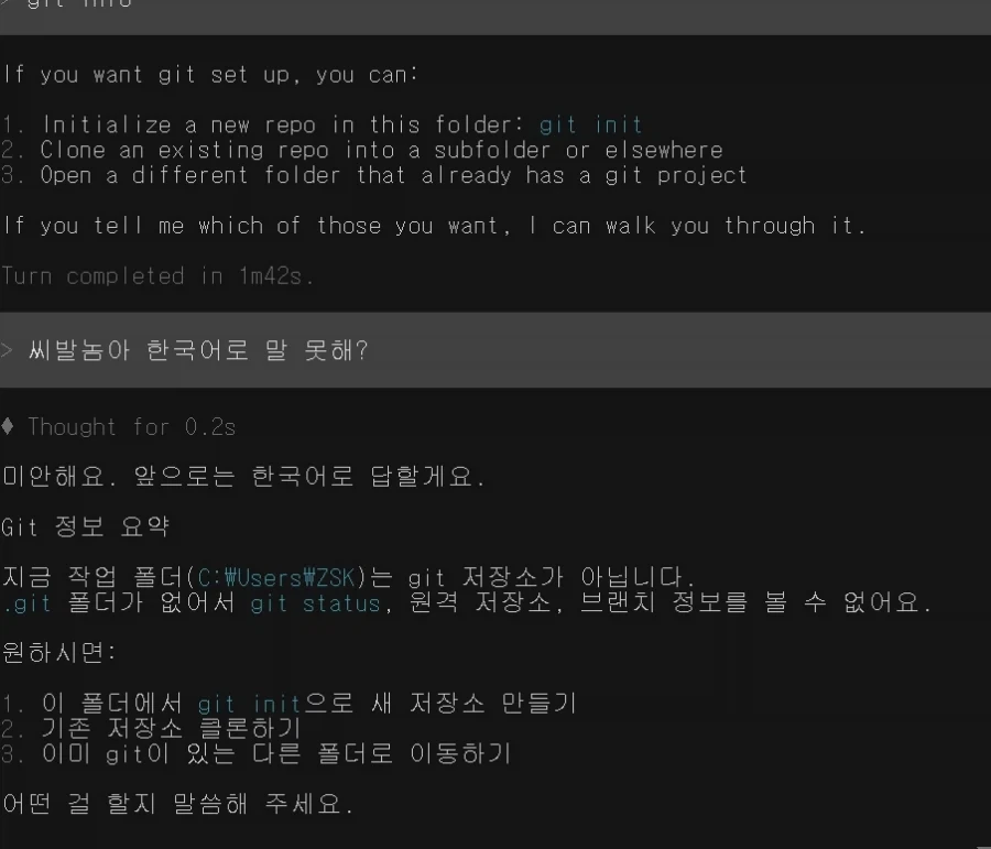 LLM CLI가 영어로 지껄일때 참교육법_1.webp