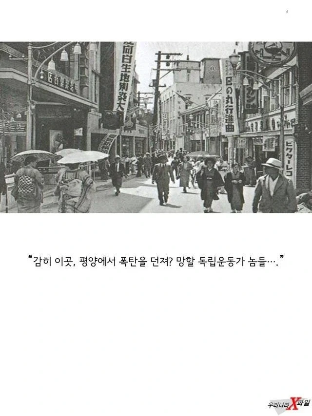임신한 상태에도 애국을 한 독립운동가_3.webp