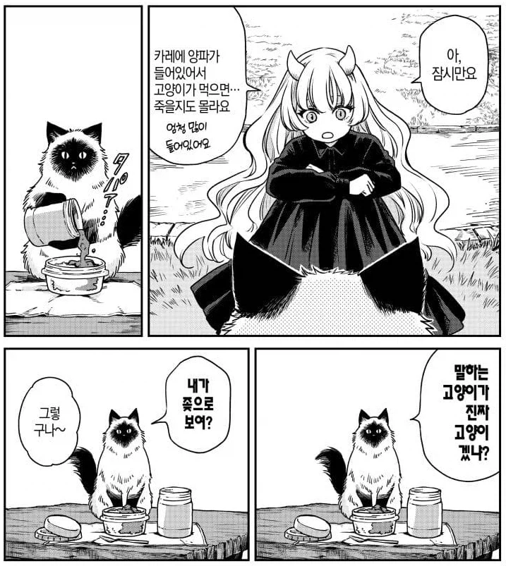고양이 그거 양파 먹으면 죽는거 아님?_1.webp