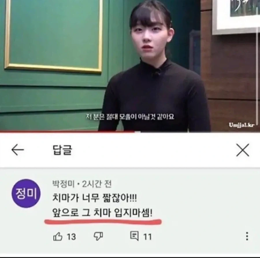 유튜버 치마가 짧다고 지적하는 댓글의 정체_1.webp