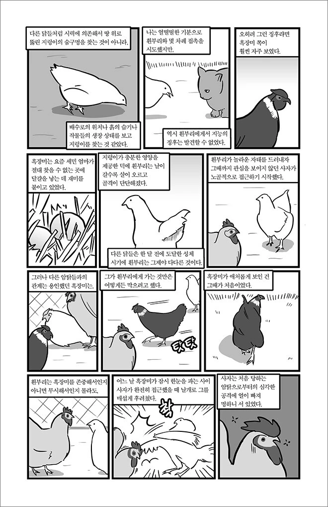 manga_1373640_012.webp