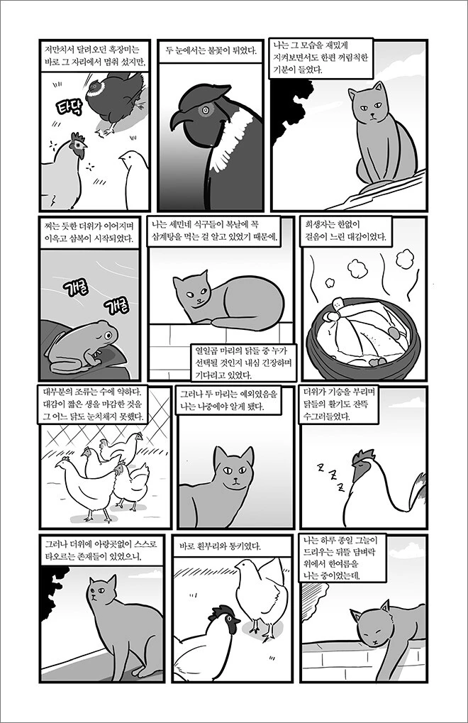 manga_1373640_013.webp