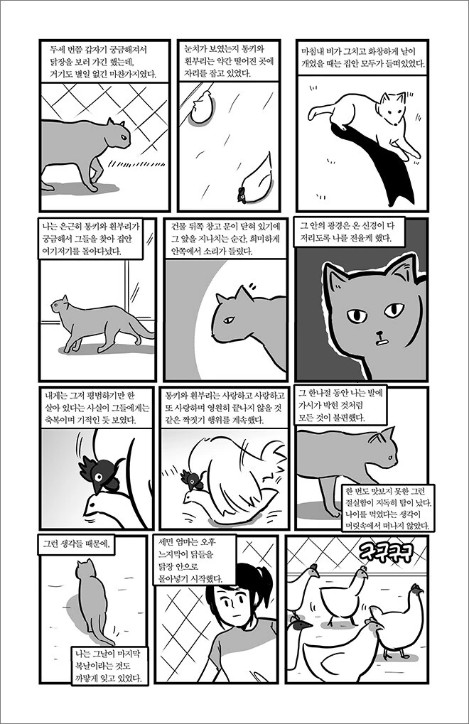 manga_1373640_018.webp