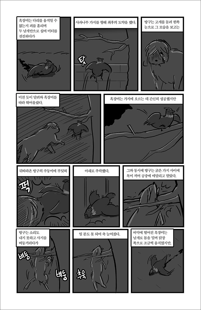 manga_1373640_027.webp