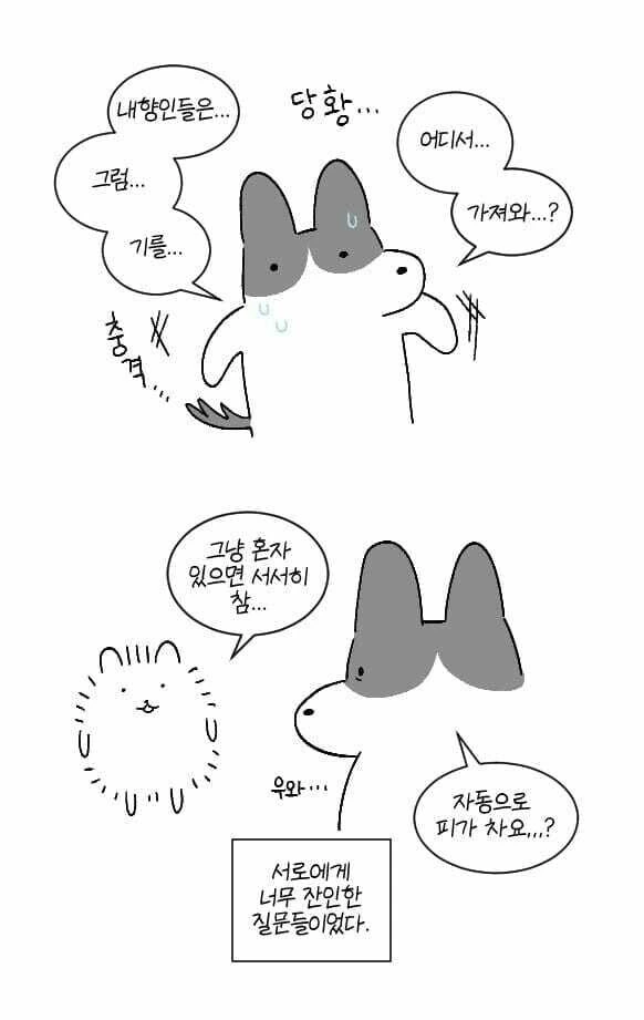 manga_69556350_002.webp