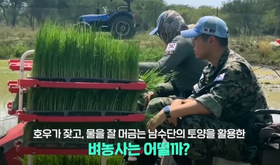 한국 쌀 재배 1티어 국가_3.webp