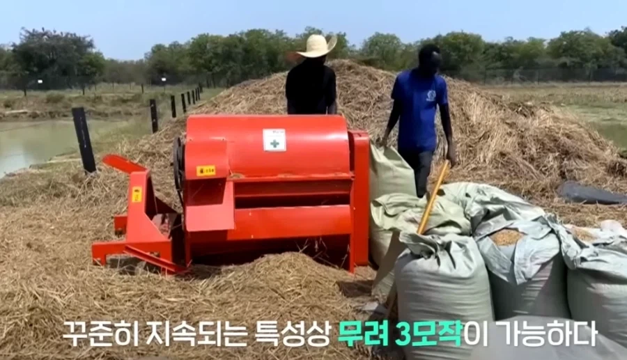 한국 쌀 재배 1티어 국가_4.webp