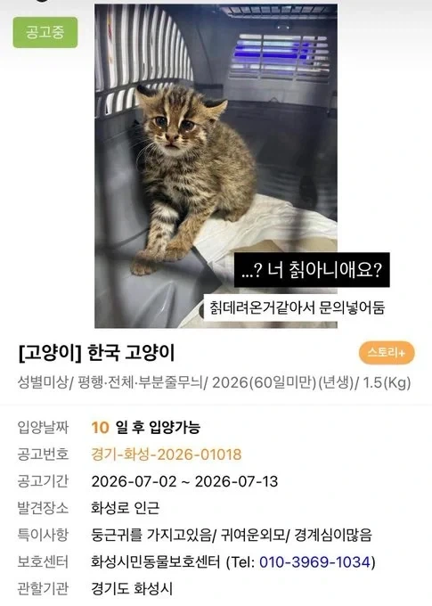보호소에 칡이 있어서 당황한 수의사_1.webp
