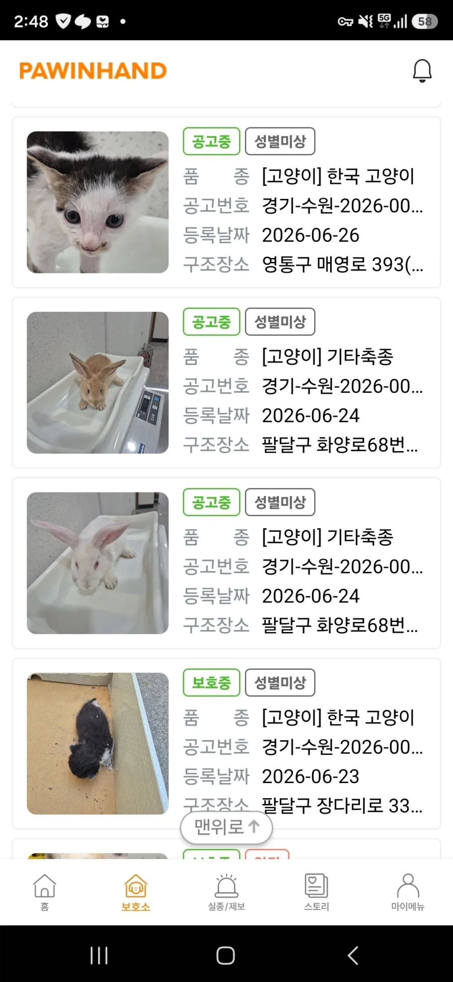 고?양이 신품종_1.webp