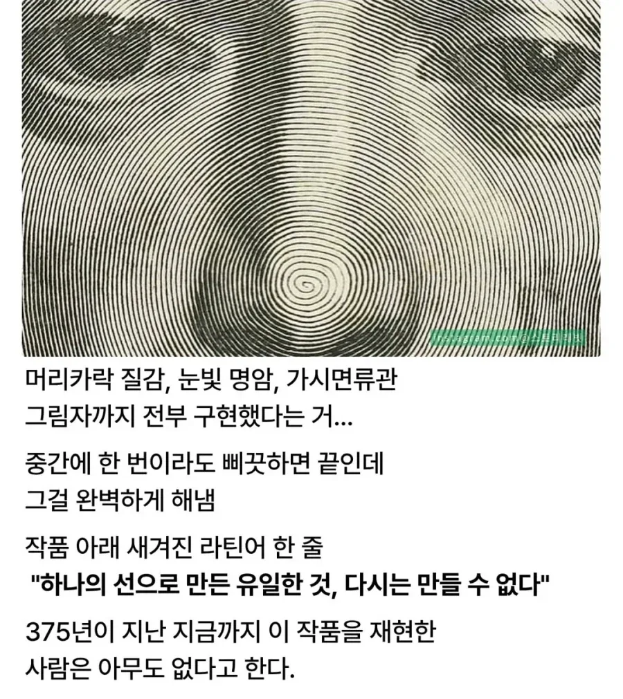 오직 선 하나로만 그린 그림_2.webp