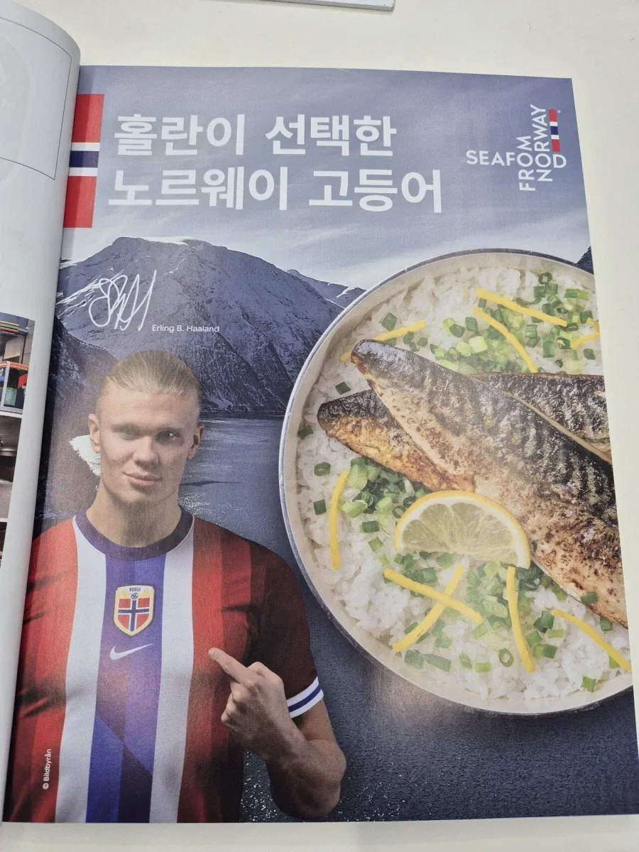 홀란드가 어린시절부터 먹던 음식.jpg_2.webp
