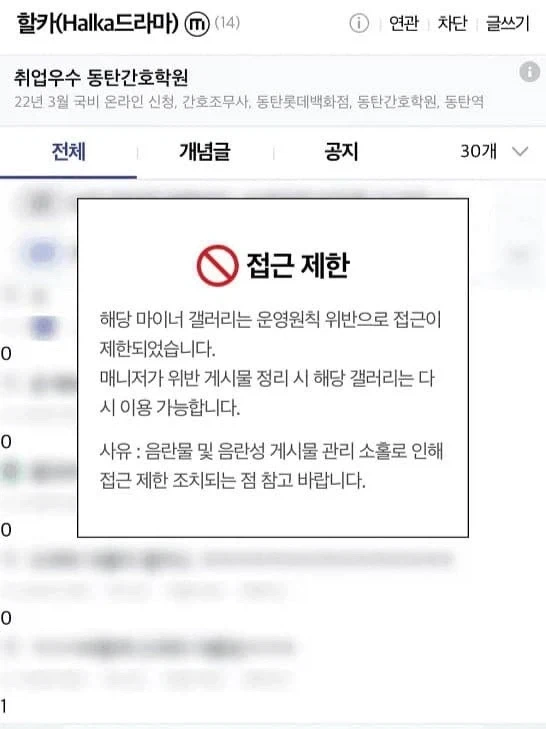어느 마이너 갤러리가 음란물 접근제한 금지가 걸렸다_1.webp