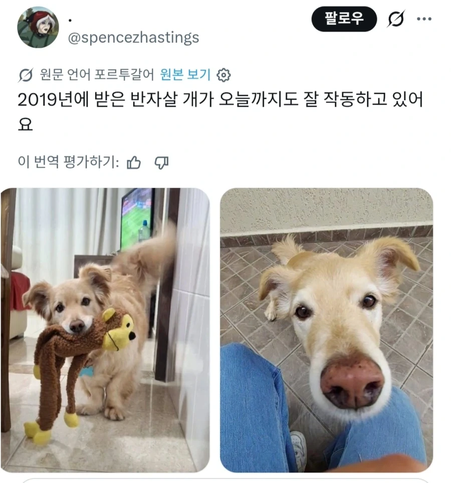 강아지 고양이들을 부르는 신박한 별명_3.webp