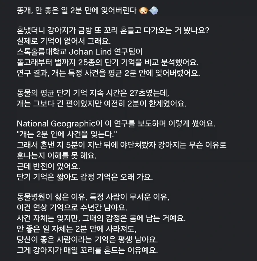 똥개, 안 좋은 일 2분 만에 잊어 버린다._2.webp