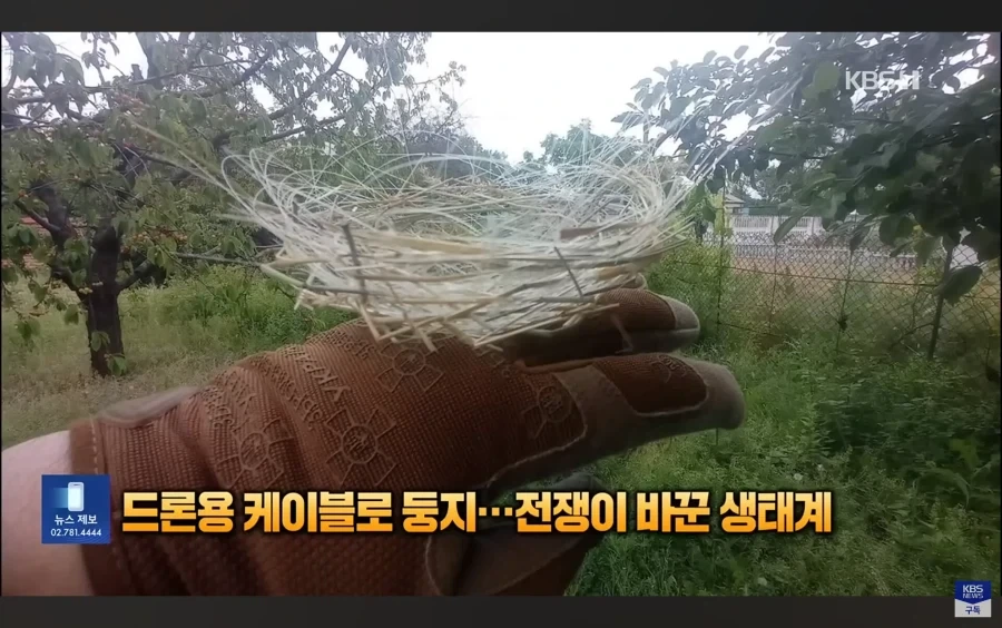 신물질에 정신을 못차리고 있는 종족.jpg_2.webp