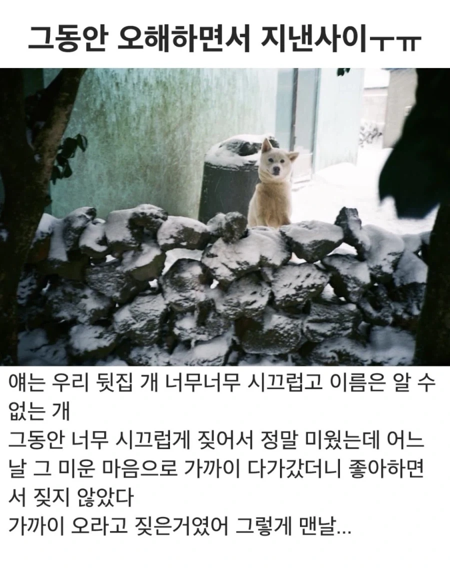 가까이 오라고 짖은거였어 그렇게 맨날..._1.webp