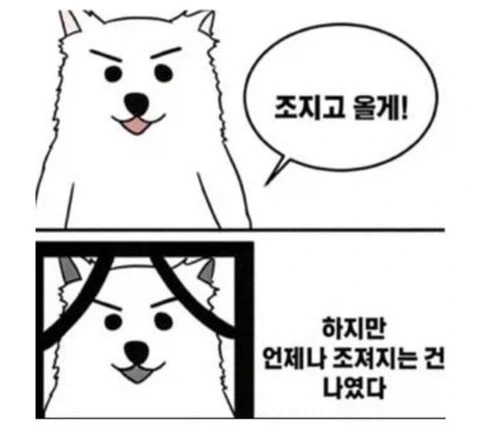 주식) 다시보는 JP 모건사 태극기_2.webp